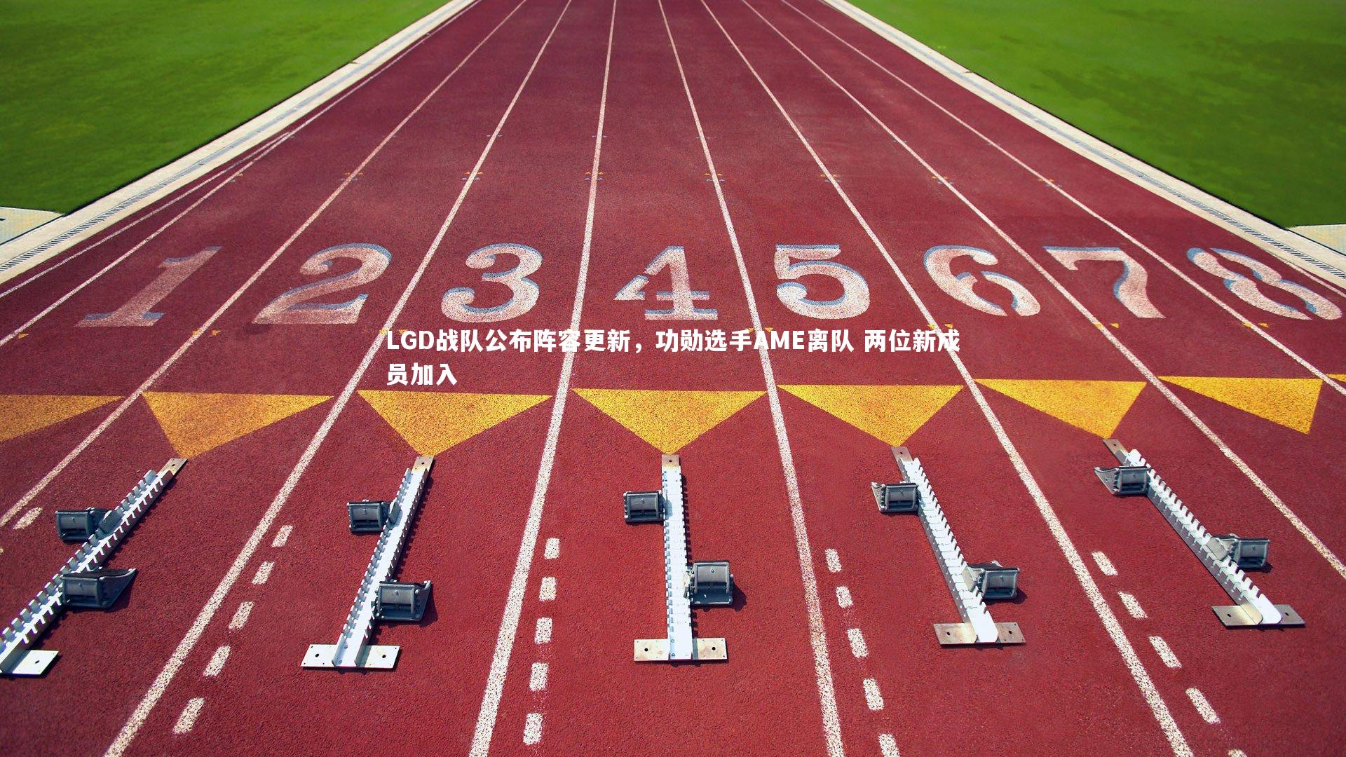 LGD战队公布阵容更新，功勋选手AME离队 两位新成员加入